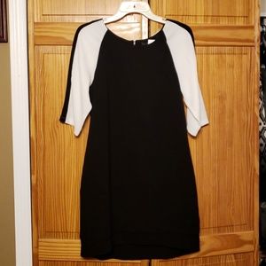 NWT Black and White Dress